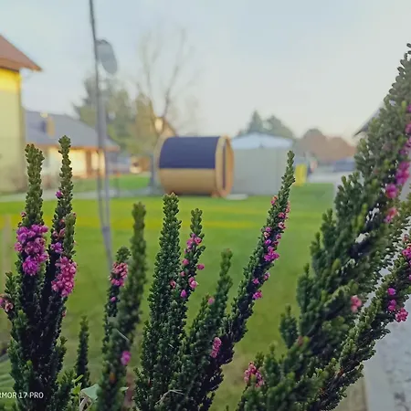 Holiday home Nad Jeziorem Widokowka *