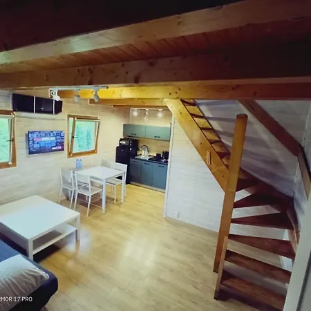 Nad Jeziorem Widokowka Tatil Evi Zarzecze (Silesia)